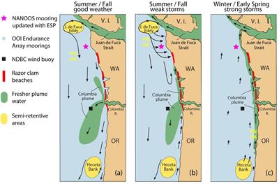 Scaling Up From Regional Case Studies to a Global Harmful Algal Bloom Observing System